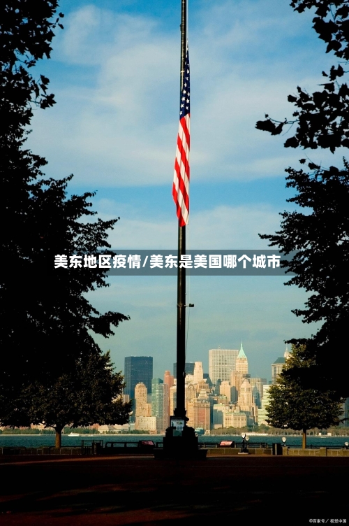 美东地区疫情/美东是美国哪个城市