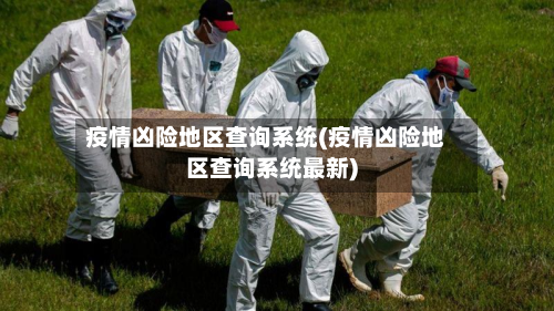 疫情凶险地区查询系统(疫情凶险地区查询系统最新)