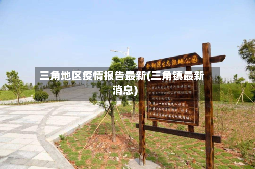 三角地区疫情报告最新(三角镇最新消息)