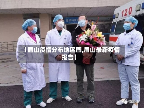 【眉山疫情分布地区图,眉山最新疫情报告】-第3张图片