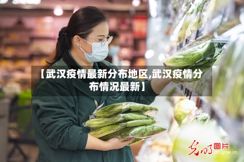 【武汉疫情最新分布地区,武汉疫情分布情况最新】