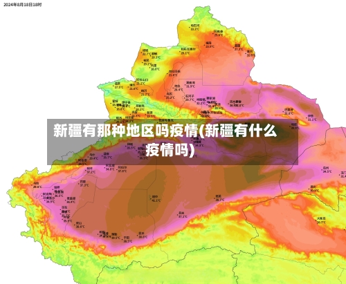 新疆有那种地区吗疫情(新疆有什么疫情吗)-第2张图片