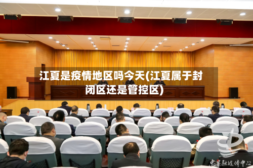江夏是疫情地区吗今天(江夏属于封闭区还是管控区)-第2张图片