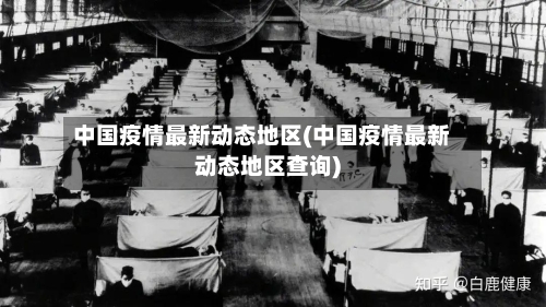 中国疫情最新动态地区(中国疫情最新动态地区查询)-第2张图片