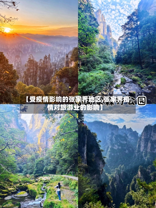【受疫情影响的张家界地区,张家界疫情对旅游业的影响】