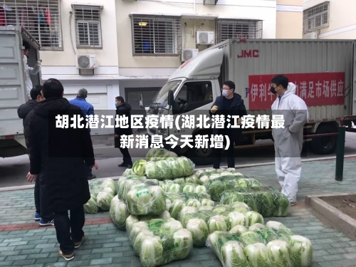 胡北潜江地区疫情(湖北潜江疫情最新消息今天新增)-第3张图片