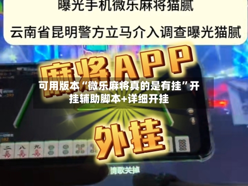 可用版本“微乐麻将真的是有挂”开挂辅助脚本+详细开挂-第2张图片