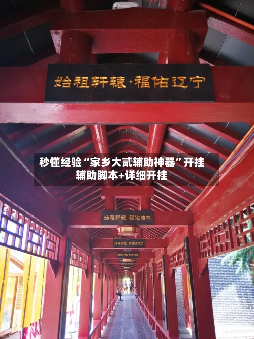 秒懂经验“家乡大贰辅助神器	”开挂辅助脚本+详细开挂-第2张图片