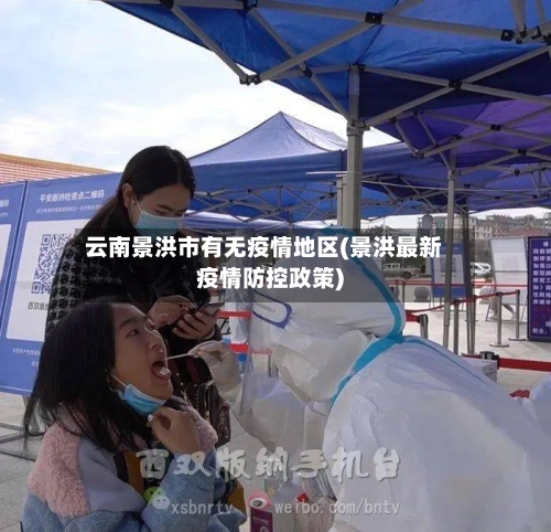 云南景洪市有无疫情地区(景洪最新疫情防控政策)-第2张图片