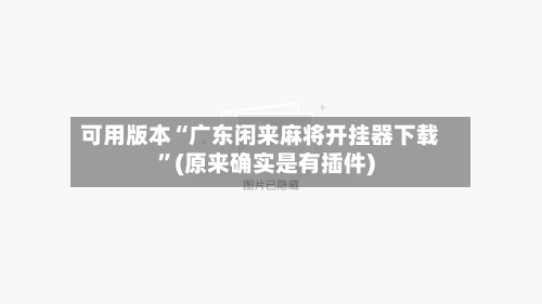可用版本“广东闲来麻将开挂器下载”(原来确实是有插件)-第2张图片