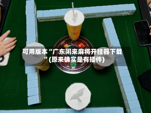 可用版本“广东闲来麻将开挂器下载”(原来确实是有插件)-第3张图片