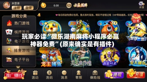 玩家必读“微乐湖南麻将小程序必赢神器免费”(原来确实是有插件)-第3张图片