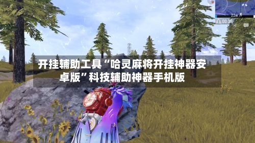 开挂辅助工具“哈灵麻将开挂神器安卓版”科技辅助神器手机版-第2张图片