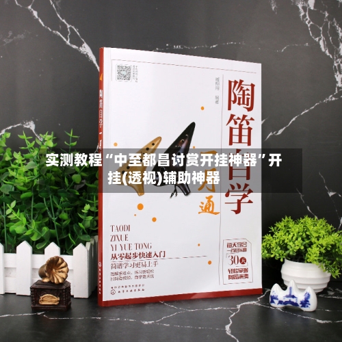 实测教程“中至都昌讨赏开挂神器”开挂(透视)辅助神器