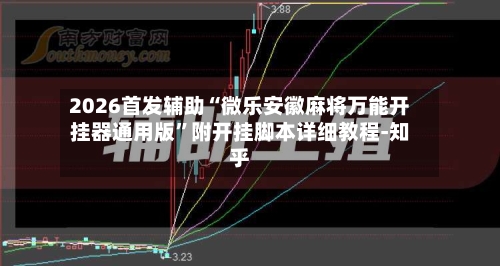 2026首发辅助“微乐安徽麻将万能开挂器通用版”附开挂脚本详细教程-知乎-第3张图片