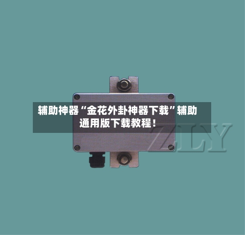 辅助神器“金花外卦神器下载”辅助通用版下载教程！