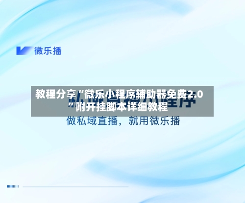 教程分享“微乐小程序辅助器免费2.0”附开挂脚本详细教程