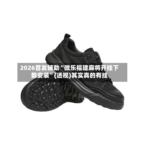 2026首发辅助“微乐福建麻将开挂下载安装	”(透视)其实真的有挂-第2张图片