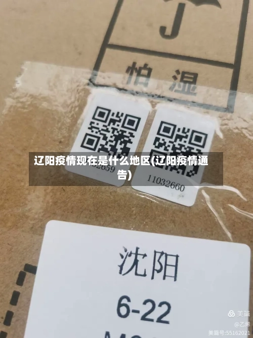 辽阳疫情现在是什么地区(辽阳疫情通告)-第3张图片