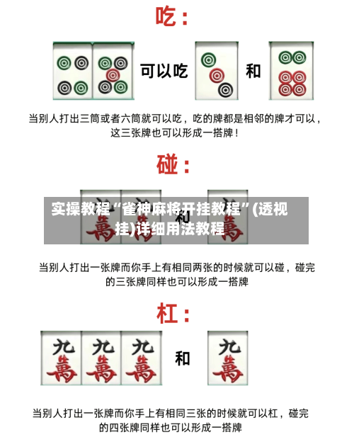 实操教程“雀神麻将开挂教程”(透视挂)详细用法教程-第2张图片