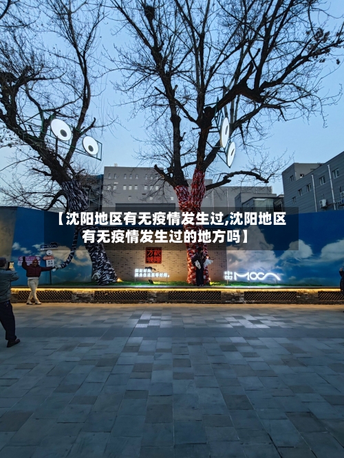 【沈阳地区有无疫情发生过,沈阳地区有无疫情发生过的地方吗】-第2张图片