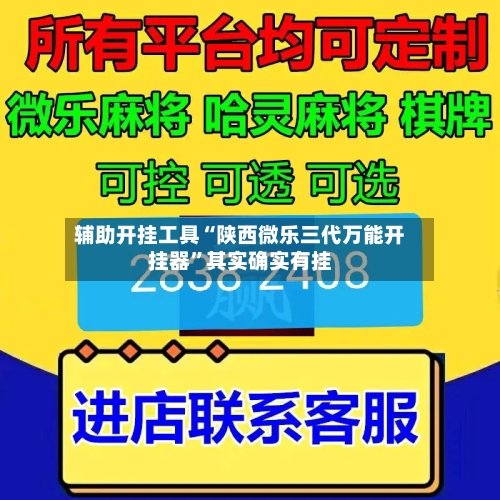 辅助开挂工具“陕西微乐三代万能开挂器	”其实确实有挂-第2张图片