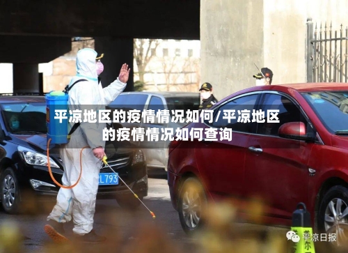 平凉地区的疫情情况如何/平凉地区的疫情情况如何查询-第2张图片