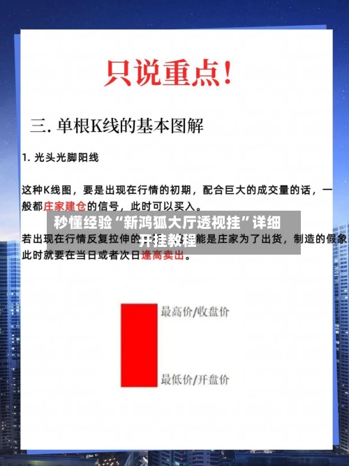 秒懂经验“新鸿狐大厅透视挂”详细开挂教程