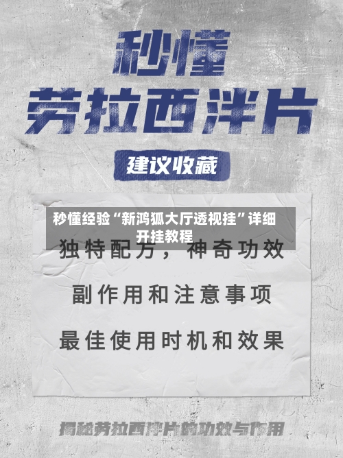 秒懂经验“新鸿狐大厅透视挂	”详细开挂教程-第3张图片