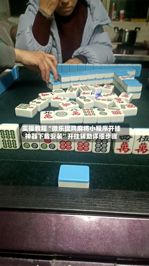 实操教程“微乐捉鸡麻将小程序开挂神器下载安装	”开挂辅助详细步骤-第2张图片
