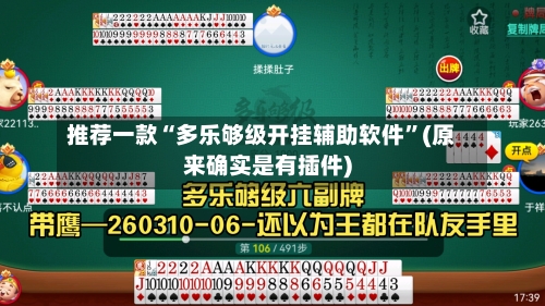 推荐一款“多乐够级开挂辅助软件	”(原来确实是有插件)-第2张图片