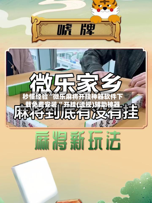 秒懂经验“微乐麻将开挂神器软件下载免费安装 ”开挂(透视)辅助神器-第2张图片