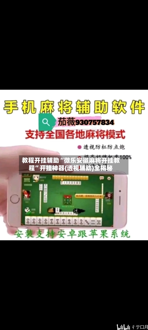 教程开挂辅助“微乐安徽麻将开挂教程”开挂神器{透视辅助}全揭秘-第3张图片