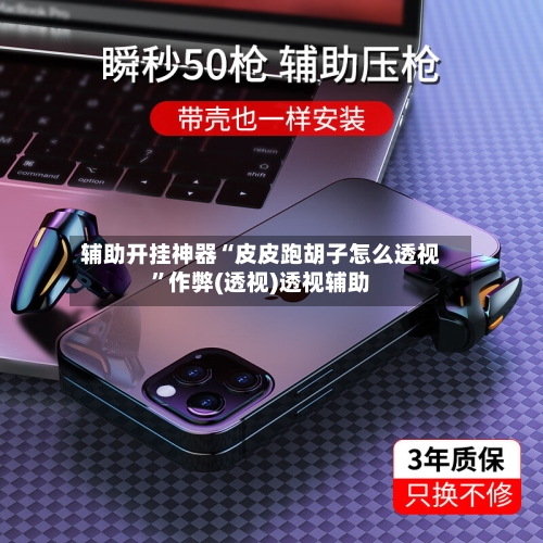 辅助开挂神器“皮皮跑胡子怎么透视”作弊(透视)透视辅助-第2张图片