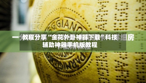 教程分享“金花外卦神器下载”科技辅助神器手机版教程-第2张图片