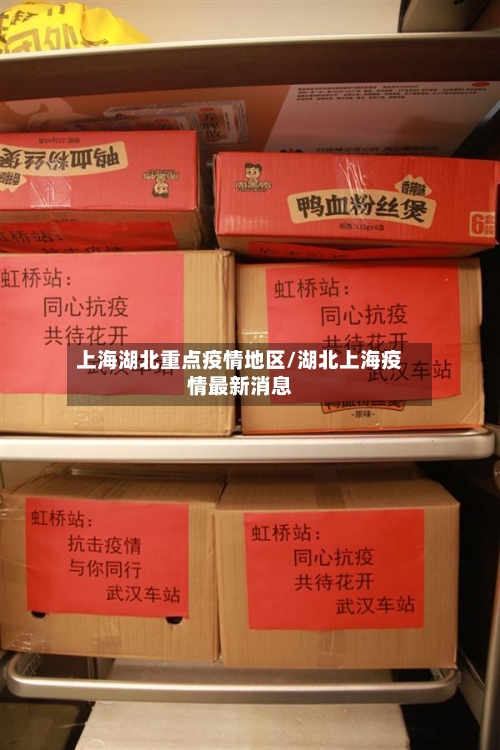 上海湖北重点疫情地区/湖北上海疫情最新消息-第2张图片