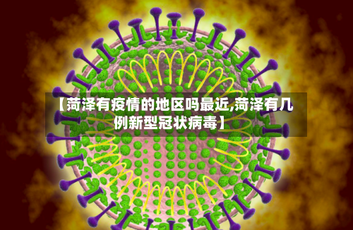 【菏泽有疫情的地区吗最近,菏泽有几例新型冠状病毒】