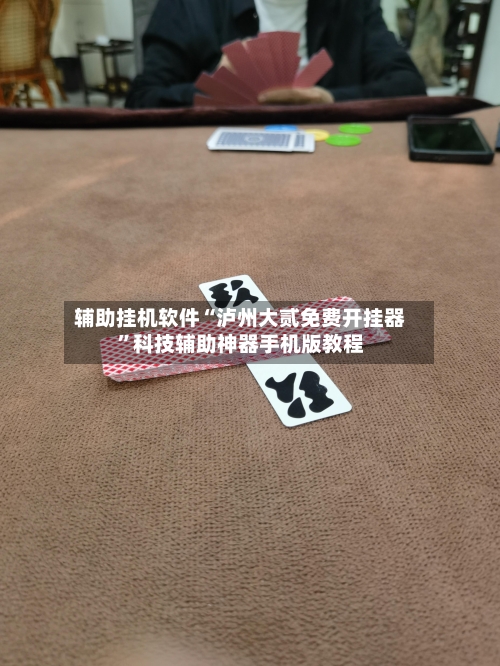 辅助挂机软件“泸州大贰免费开挂器”科技辅助神器手机版教程-第2张图片