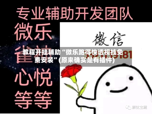 教程开挂辅助“微乐跑得快透视挂免费安装”(原来确实是有插件)