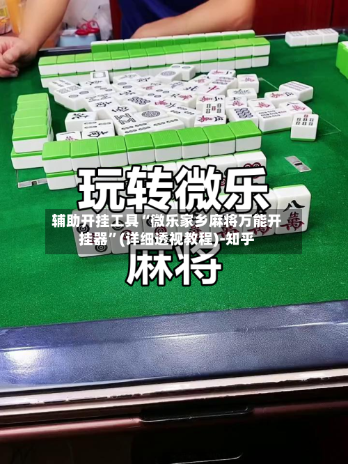 辅助开挂工具“微乐家乡麻将万能开挂器”(详细透视教程)-知乎-第3张图片