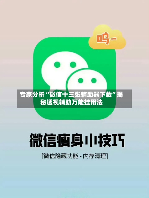 专家分析“微信十三张辅助器下载”揭秘透视辅助万能挂用法-第2张图片
