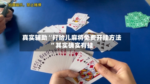 真实辅助“打哈儿麻将免费开挂方法”其实确实有挂-第3张图片