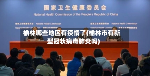 榆林哪些地区有疫情了(榆林市有新型冠状病毒肺炎吗)-第2张图片