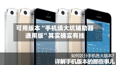 可用版本“手机填大坑辅助器通用版”其实确实有挂