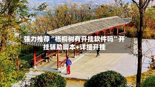 强力推荐“梧桐树有开挂软件吗”开挂辅助脚本+详细开挂