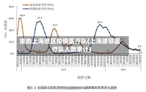 援助上海地区疫情医疗队(上海援鄂医疗队人数累计)