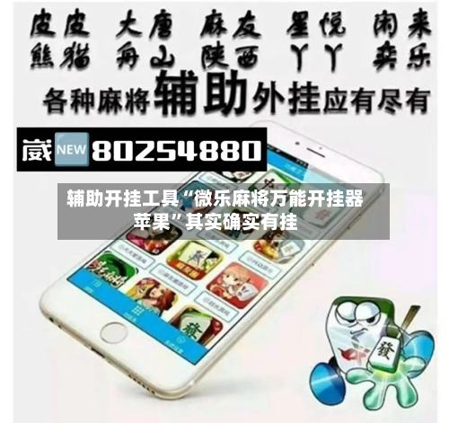 辅助开挂工具“微乐麻将万能开挂器苹果”其实确实有挂-第2张图片
