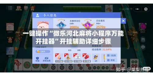 一键操作“微乐河北麻将小程序万能开挂器”开挂辅助详细步骤-第2张图片
