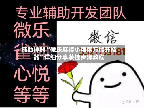 辅助神器“微乐麻将小程序万能开挂器”详细分享装挂步骤教程-第3张图片