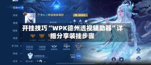 开挂技巧“WPK德州透视辅助器”详细分享装挂步骤-第3张图片